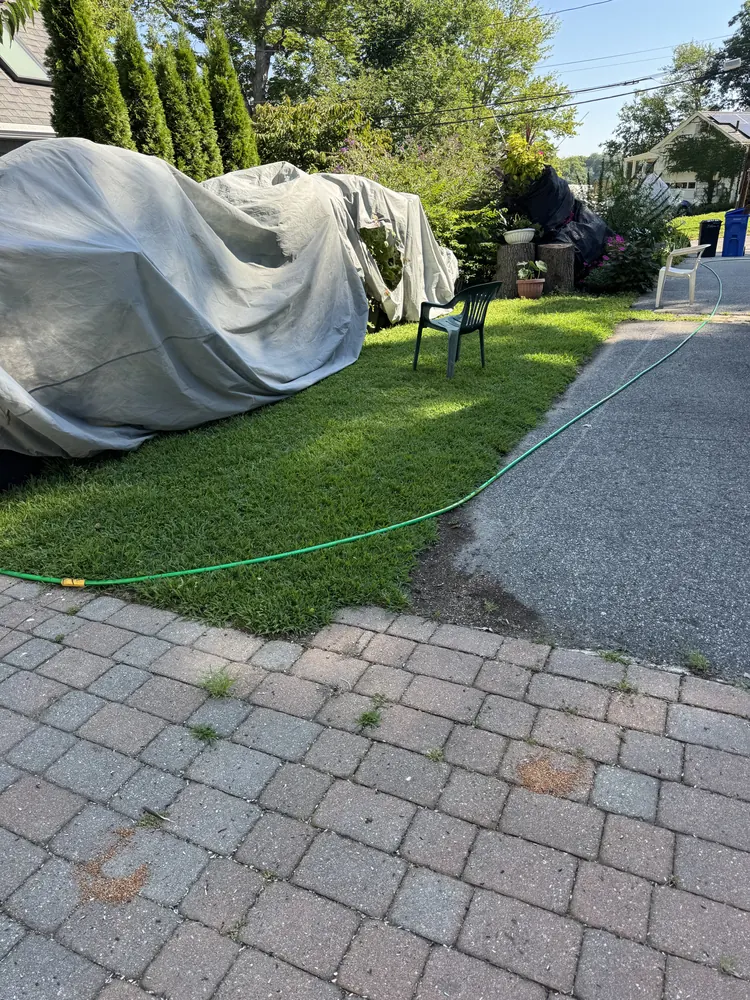 Existing brick walkway before site work